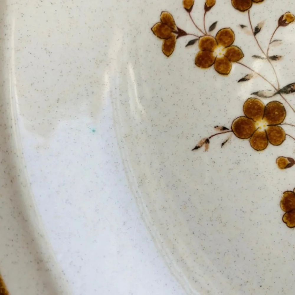 Vintage Colorware Nikko Sage Serving plate 12” Cottagecore Grandmacore Earthy*